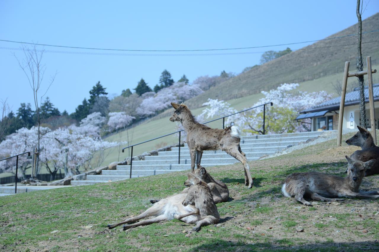 Mountain Home Lodge In Deer Park Nara Exterior photo